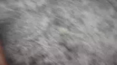 Snapshot of johnnyfitt chatting on December 21, 1:58 am Johnny online show from December 21, 1:58 am