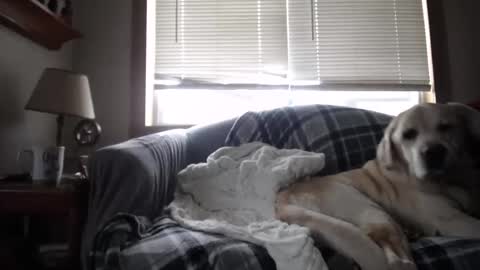 Johston online show from November 5, 1:44 pm