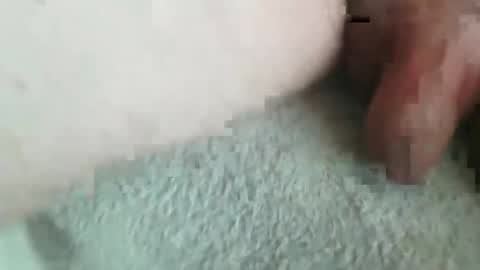 jonasbkk online show from January 16, 7:12 am