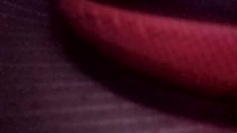 jonathanrossmyers858 online show from March 13, 8:10 am