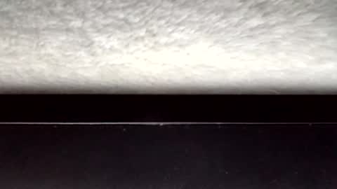 John loves pussy online show from March 31, 3:30 am