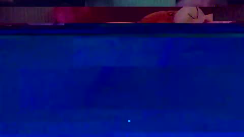 jooshi1981 online show from February 12, 5:13 am