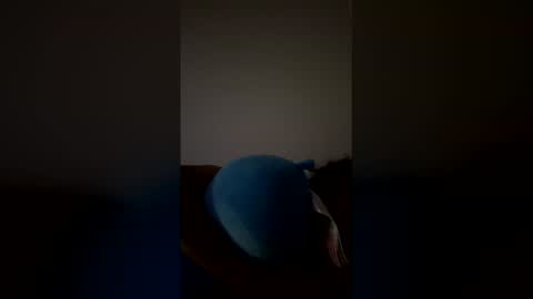 joshua_b11 online show from March 28, 6:46 am