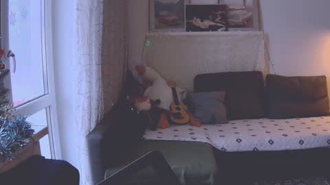 Snapshot of joy_keys chatting on January 9, 11:58 am joy_keys online show from January 9, 11:58 am