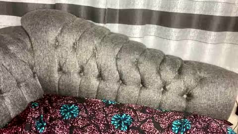 Butterflyass online show from March 4, 3:12 am