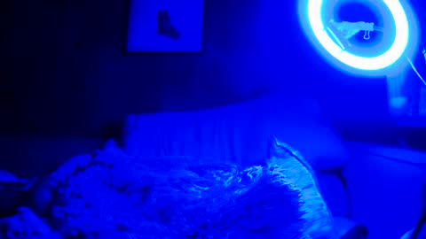 jroge21 online show from March 9, 3:22 am