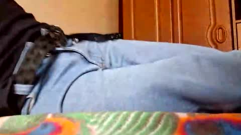 Snapshot of juan488826 chatting on March 23, 6:01 pm juan488826 online show from March 23, 6:01 pm