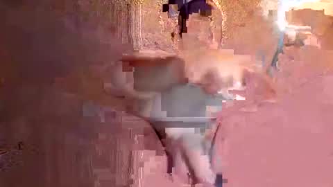 Snapshot of juan575390 chatting on December 17, 1:07 am juan575390 online show from December 17, 1:07 am