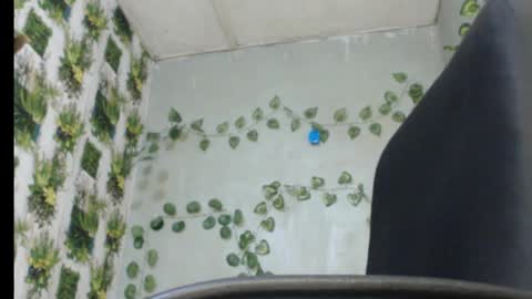 Mariagold online show from February 13, 1:19 am