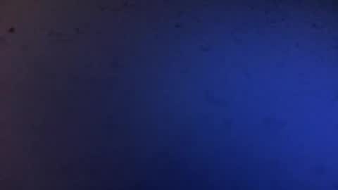 xmas3 online show from April 1, 3:07 am