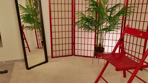 Jules online show from February 28, 2:07 pm