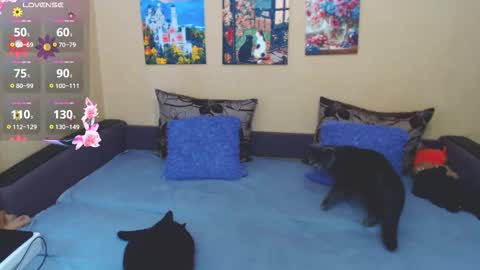 Jul online show from March 4, 9:04 am