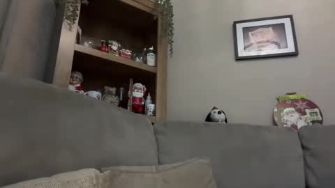 Snapshot of junky345 chatting on December 13, 7:21 pm Junky online show from December 13, 7:21 pm