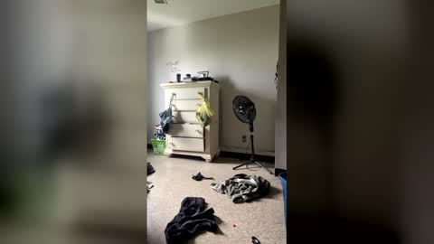 junosphboi online show from April 3, 3:32 pm