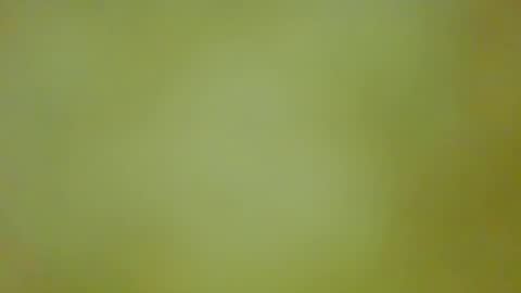 McKeefer online show from September 13, 5:46 pm