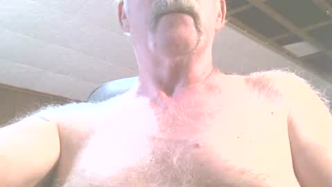 Snapshot of justdon chatting on June 15, 2:41 pm justdon online show from June 15, 2:41 pm