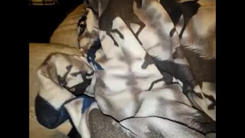 Snapshot of justswack chatting on December 7, 8:44 am justswack online show from December 7, 8:44 am