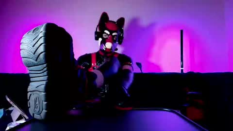 Snapshot of k9_goodboy chatting on March 1, 7:05 pm Alex online show from March 1, 7:05 pm