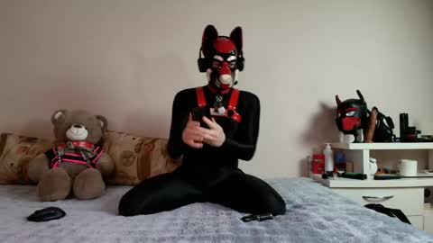 Snapshot of k9_goodboy chatting on May 1, 6:45 pm Alex online show from May 1, 6:45 pm
