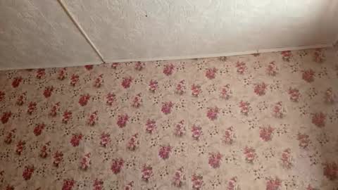 Sara online show from February 27, 7:19 am