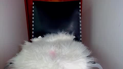 katalinaferreirax online show from December 17, 8:54 pm