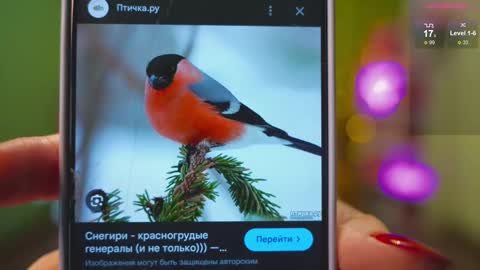 Katy      -    online show from February 21, 2:39 am