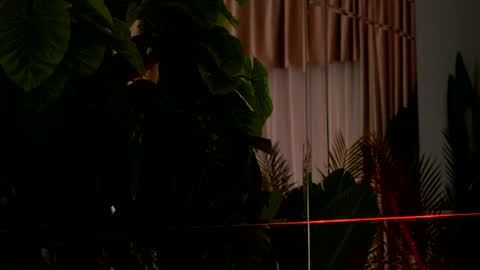 Denise online show from April 6, 2:20 am