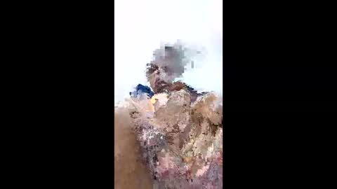 kenzo6140 online show from April 12, 9:20 pm