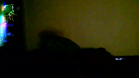 Snapshot of kev_crew25 chatting on February 18, 1:45 am kev online show from February 18, 1:45 am