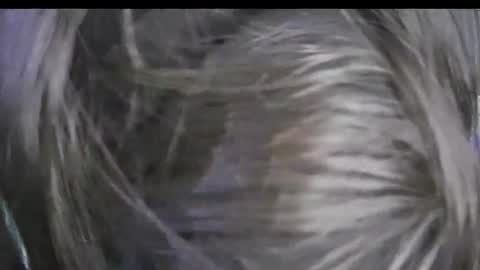 Keyla online show from January 17, 4:00 pm