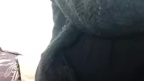 Snapshot of khushisinghh chatting on December 14, 2:34 am khushisinghh online show from December 14, 2:34 am