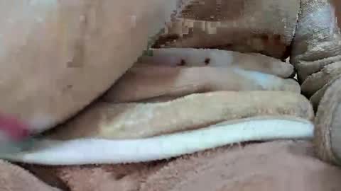 Snapshot of khushisinghh chatting on January 22, 4:02 pm khushisinghh online show from January 22, 4:02 pm