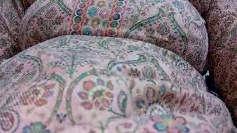 Snapshot of khushisinghh chatting on January 24, 12:31 pm khushisinghh online show from January 24, 12:31 pm