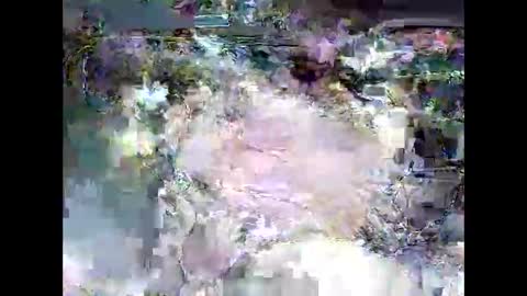 ki389253 online show from March 4, 2:17 am