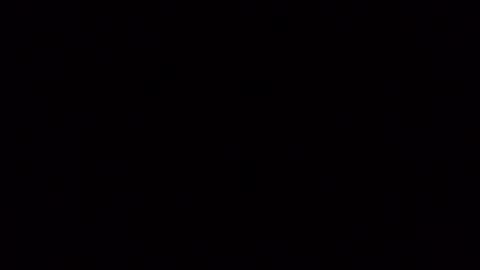 Frankie online show from November 1, 8:49 am