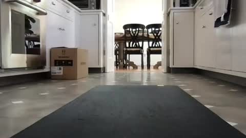 Snapshot of kicknbutt chatting on February 26, 8:52 pm Kicknbutt online show from February 26, 8:52 pm