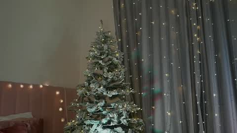 Kim Oberlin online show from December 30, 5:34 pm