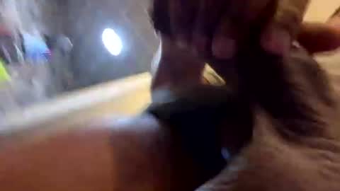 Snapshot of kingshyster chatting on July 20, 3:14 pm kingshyster online show from July 20, 3:14 pm