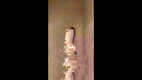 kini8278 online show from February 21, 1:56 pm