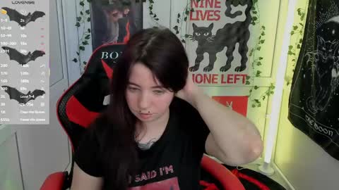 meow online show from May 22, 12:22 pm
