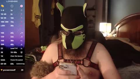 Snapshot of kinkywolf87 chatting on June 9, 11:49 pm kinkywolf87 online show from June 9, 11:49 pm