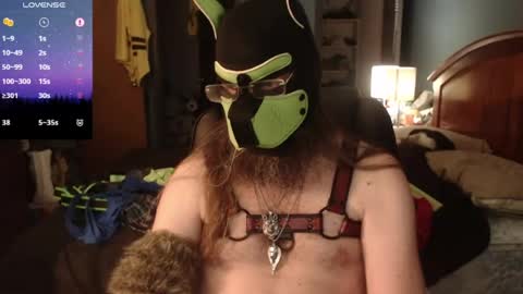 Snapshot of kinkywolf87 chatting on June 14, 10:23 pm kinkywolf87 online show from June 14, 10:23 pm