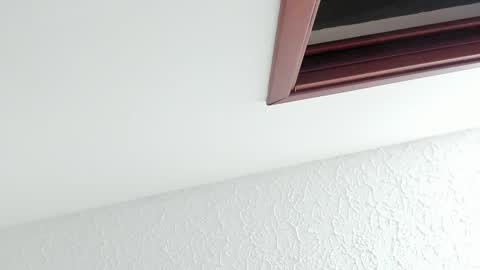 Sara online show from February 27, 12:16 pm