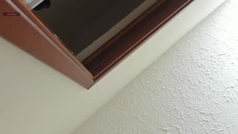 Sara online show from April 17, 10:51 am