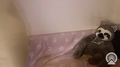 kitiket1 online show from February 11, 5:40 pm