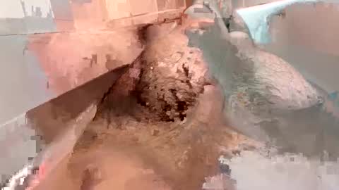 Snapshot of kitkatmac chatting on January 3, 7:29 pm kitkatmac online show from January 3, 7:29 pm