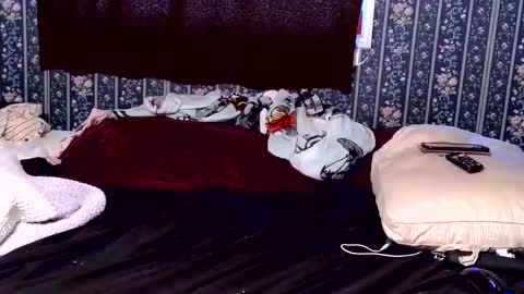 kittenkayla26 online show from April 9, 3:17 pm