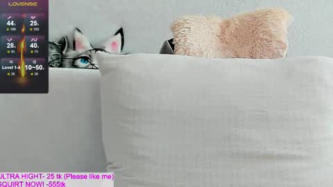 Kitty online show from April 14, 10:54 am