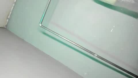 Grace online show from November 29, 9:45 am