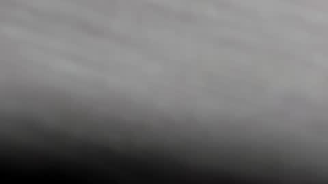  K I T T  Y  online show from February 1, 11:21 am